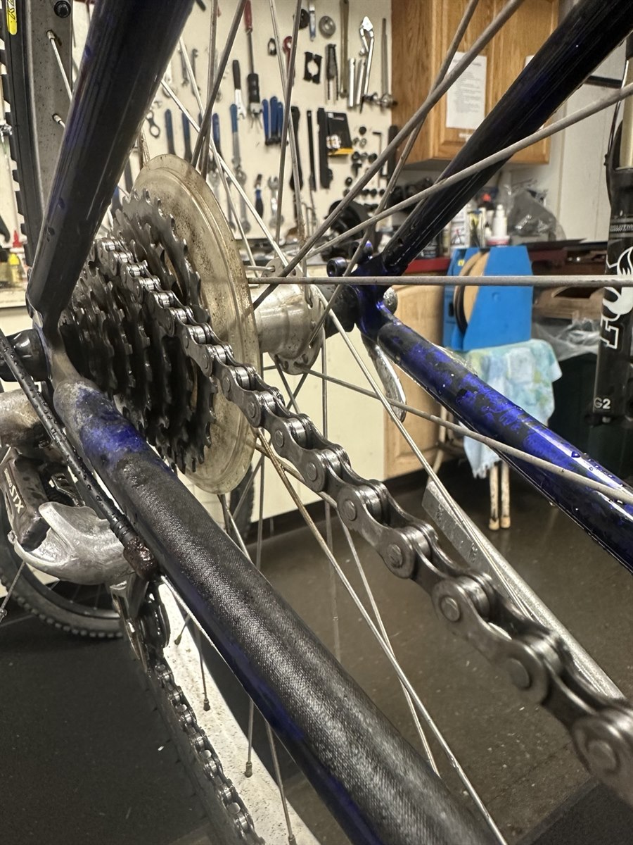 Clean chain and rear cogs after drivetrain cleaning at Bicycles Plus