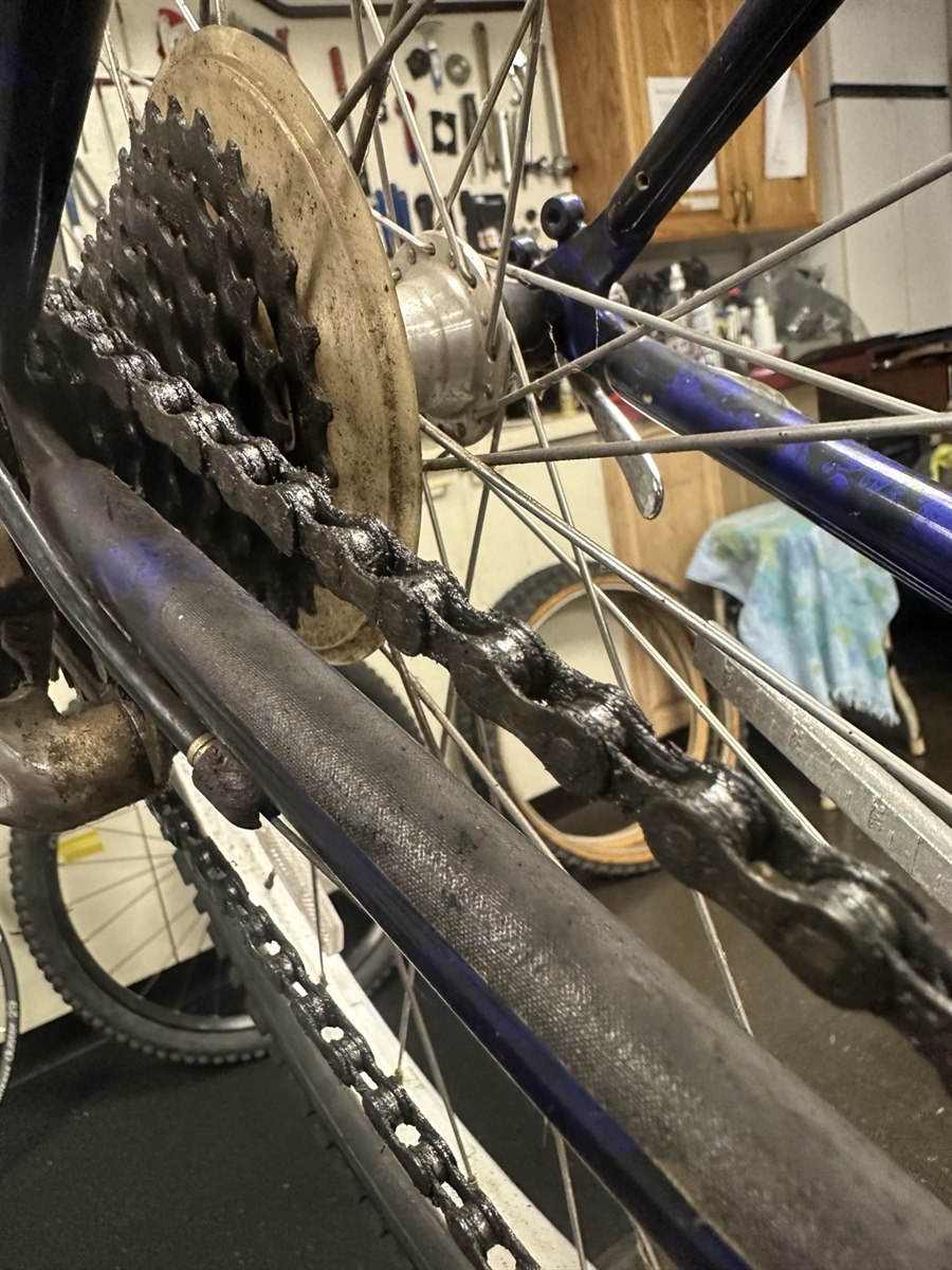 Grease-covered chain and rear cogs before drivetrain cleaning at Bicycles Plus
